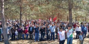 Turkey Demonstration2