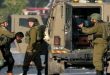 Israeli occupation arrest nine Palestinians in the West Bank 