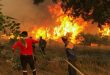 Siria expresa solidaridad con Argelia ante los incendios que asolan esta nación árabe africana