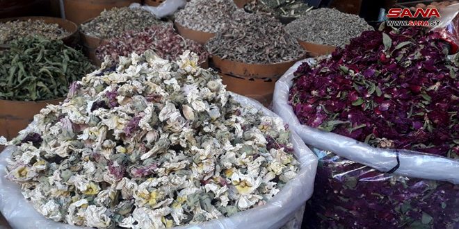 Siria siembra más de 53 mil hectáreas de plantas aromáticas y medicinales