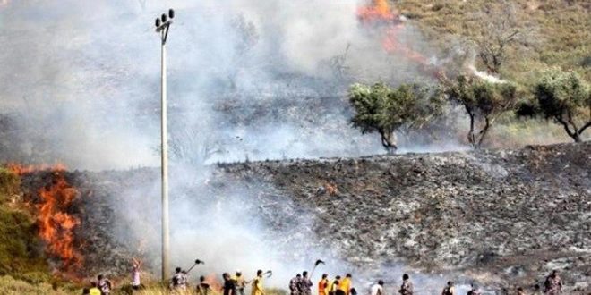 Colonos israelíes queman tierras palestinas en Naplusa