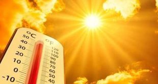 El mundo sufrirá olas de calor más intensas, advirtió ONU