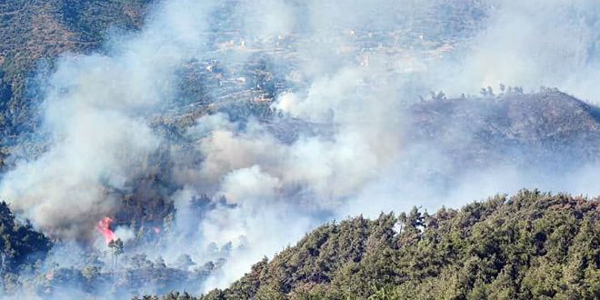 Los bomberos luchan para extinguir incendios forestales en el noroeste de Siria