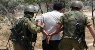 Ejército israelí arresta a 14 palestinos en Cisjordania y Gaza