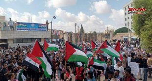 Actos de solidaridad con Palestina en Siria