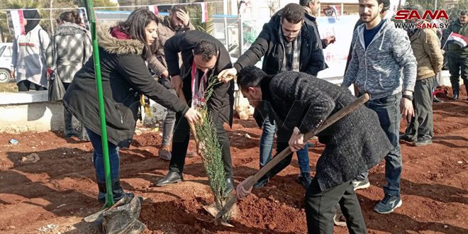 Campaña de siembra de árboles en Alepo