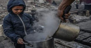 Una cuarta parte de la población de Gaza está al borde de la hambruna y 10.000 niños menores de cinco años corren peligro de muerte, advierten Organizaciones internacionales