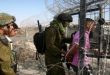 بازداشت دو فلسطینی در رام الله توسط نیروهای اشغالگر