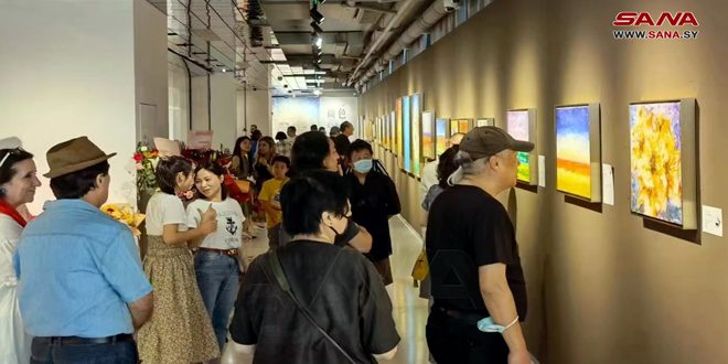 برپایی نمایشگاه هنرمند سوری ولید علی و چهره رسانه ای فیروز نصر در نانجینگ چین