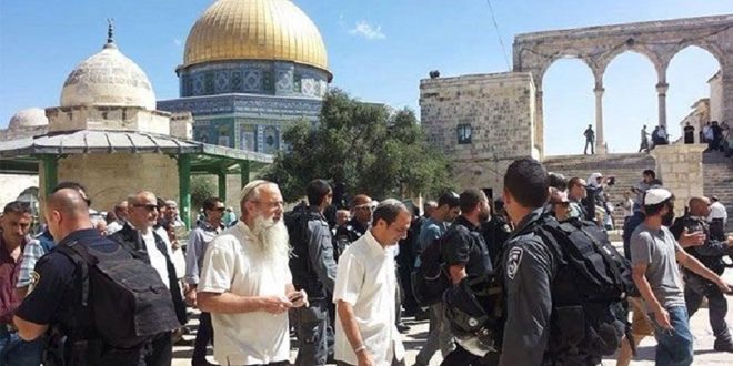 یورش مجدد شهرک نشینان صهیونیست به مسجد الاقصی/ وزارت خارجه فلسطین در باره تشدید تنش ها هشدار داد