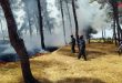 Потушен пожар в общественном парке города Саламия