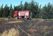 В Тартусе при пожаре повреждены около 4 га пшеничных полей