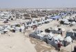 Рост преступности в лагере беженцев «Аль-Холь» в Хасаке