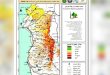 FERMO Platformu: Önümüzdeki İki Gün Boyunca Suriye’nin Kuzeybatısındaki Ormanlarda Yangın Riski Endeksi Artacak