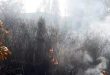 Lazkiye Kırsalında Terör Örgütlerinin Attığı Top Mermisinin Düşmesi Sonucu Çıkan Yangın Söndürüldü