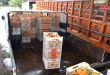 فرع السورية للتجارة بطرطوس يستجر 85 طناً من الحمضيات