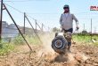 القطاع الزراعي يستعيد عافيته في داريا