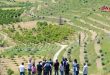 حملة الأمانة السورية للتنمية تعيد الحياة إلى الأراضي الزراعية بريف اللاذقية