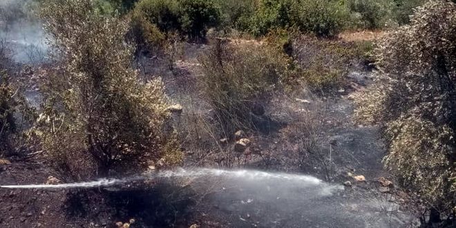 إخماد حريق أشجار مثمرة وحراجية في بلدة كفرا بريف حمص