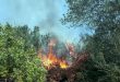 إخماد حريق طال أشجاراً مثمرة وحراجية بريف حمص الغربي