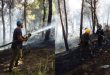 إخماد حريق نشب في محمية سرستان الطبيعية بريف صافيتا