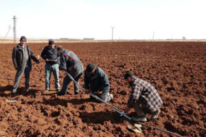 03 انقطاع التيار الكهربائي عن محافظتي درعا والسويداء
