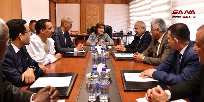 Shaaban: Syria adherent to the unity of the Arab stance