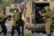 Israeli occupation Forces arrest twelve Palestinians in the West Bank