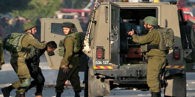 Israeli occupation Forces arrest twelve Palestinians in the West Bank