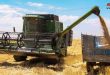 More than 62,000 hectares of wheat crops harvested in Daraa