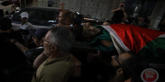 One Palestinian martyred in Israeli bombing of the Gaza Strip
