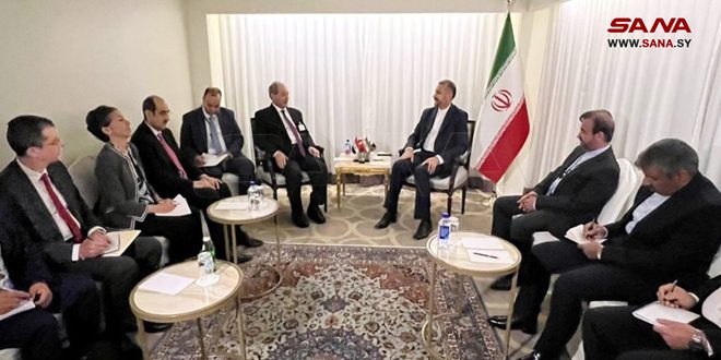 Mikdad, Abdollahian affirm importance of continued cooperation to face Western policies  