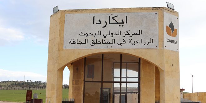 Syria, ICARDA to restore Gene bank in Aleppo countryside