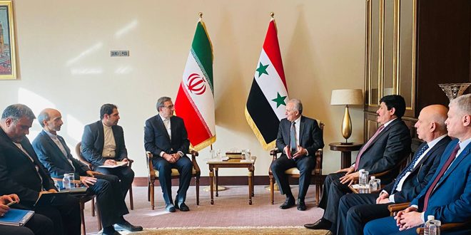 Syrian, Iranian talks to develop cooperation in transport sector