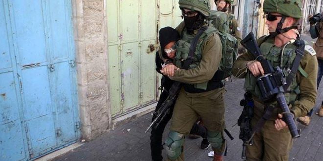 One Palestinian injured , 34 arrested as occupation forces storm several areas in the West Bank