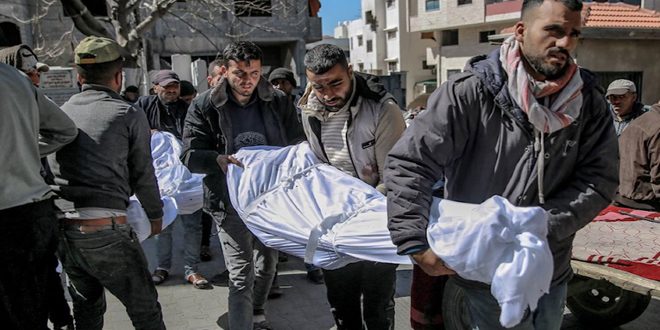 At least 17 Palestinians killed in Israeli bombardment on houses in Deir al-Balah and Jabalia of Gaza