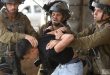 Israeli occupation forces arrest fifteen Palestinians in the West Bank