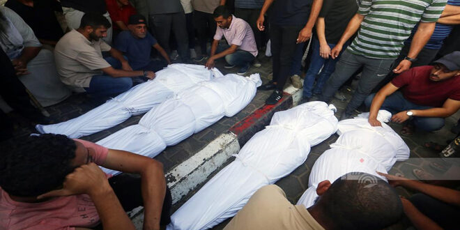 Number of Palestinian martyrs rises due to ongoing Israeli aggression on Gaza