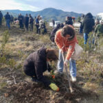 Afforestation campaign starts in northern countryside of Lattakia province