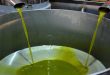 Homs produjo más de 13 mil toneladas de aceite de oliva en 2022