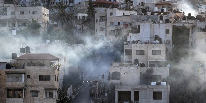 Fuerzas de ocupación israelíes matan a 6 palestinos en Jenín