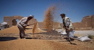 PMA reclama de urgencia 800 millones de dólares para Afganistán
