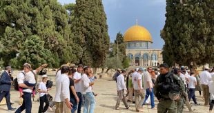Más de mil colonos israelíes asaltan mezquita Al-Aqsa