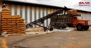 Agricultores entregan más de 700 mil toneladas de trigo a centros estatales
