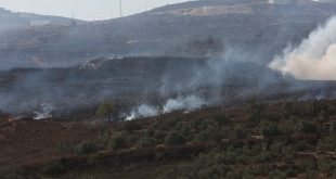 Colonos israelíes queman terrenos palestinos en Cisjordania