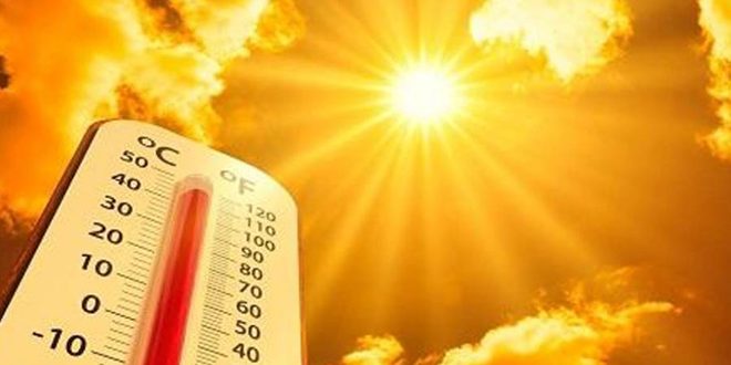 El mundo sufrirá olas de calor más intensas, advirtió ONU