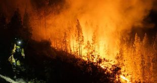 España evacua a miles de personas en Canarias a consecuencia de la peor ola de incendios forestales en 40 años