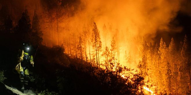España evacua a miles de personas en Canarias a consecuencia de la peor ola de incendios forestales en 40 años