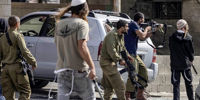 ONU documenta el terrorismo de los colonos contra los palestinos, pero no cumple sus responsabilidades