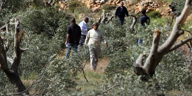 Colonos obligan a los agricultores palestinos a abandonar sus tierras en Kafr al-Dik